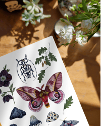 Image 7 of Sagittarius Nature Chart PRINT