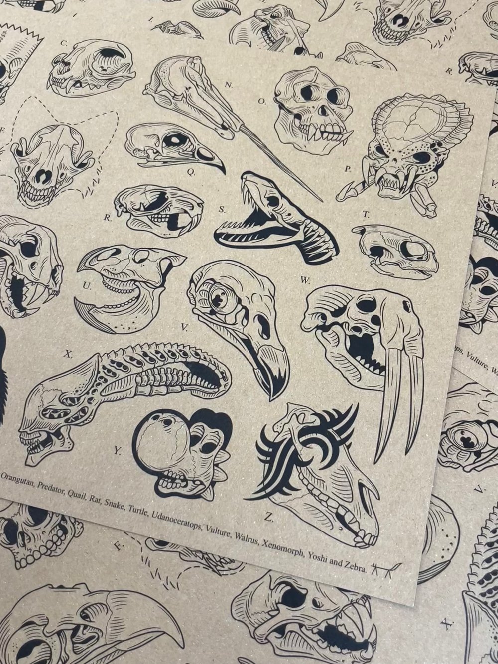 A-Z of skulls A3 print