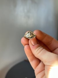 Image 5 of Starry Eyed Signet-ish