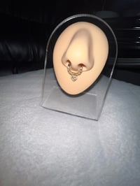 Heart septum