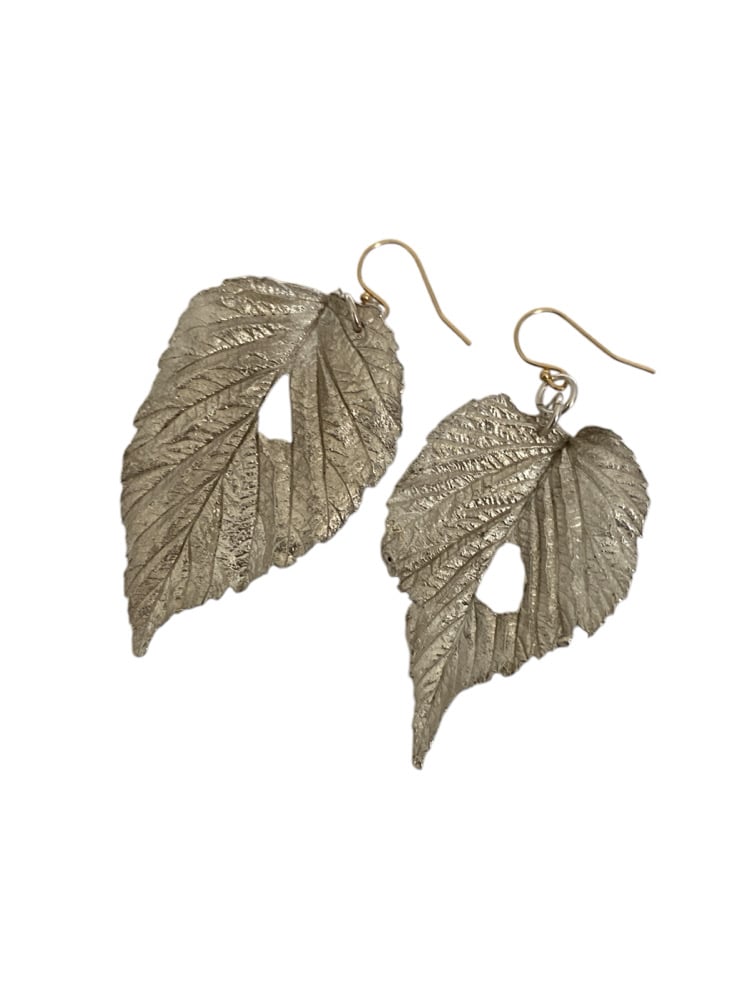 Image of Capturing Nature's Finest - Silver Clay Workshop