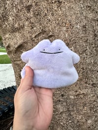 Image 2 of mini Ditto