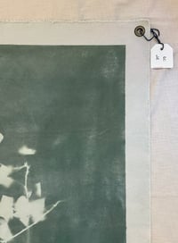 Image 3 of Ivy