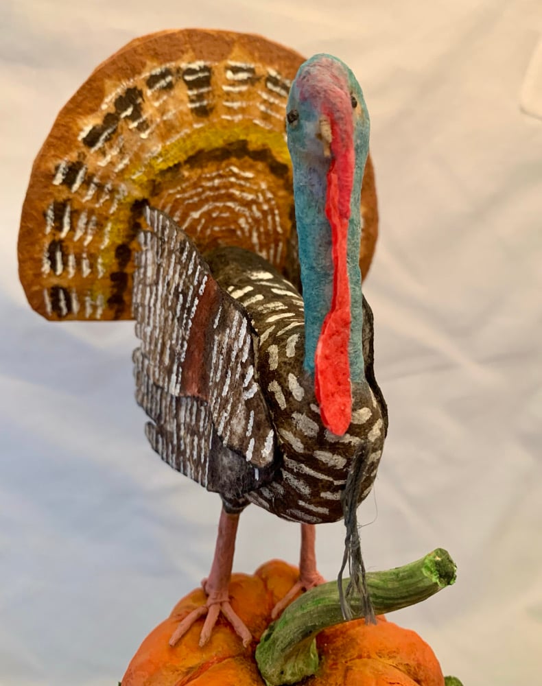 Image of Turkey Tom Figure 7