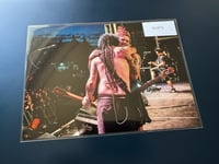 NOFX - Fat Mike and Melvin