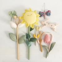 Image 4 of cocon sunflower 