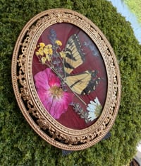 Image 1 of Antique Swallowtail Frame