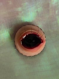 Image 3 of Eyeball Brooch 
