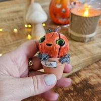 Image 3 of Mme Pumpkin Lucette