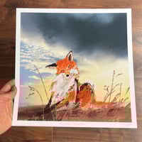 Scritch Scratch - Archive Quality Print