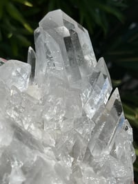 Image 17 of Clear Quartz Points Cluster Statement Piece #2446