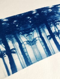 Image 2 of Cyanotype "Forêt"