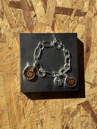 Image 1 of Ammonite charm bracelet 
