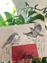 Image 2 of Sunbird A5 Print