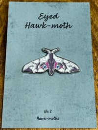 Image 1 of Eyed Hawk-moth - No.2 - Hawk-moth Series