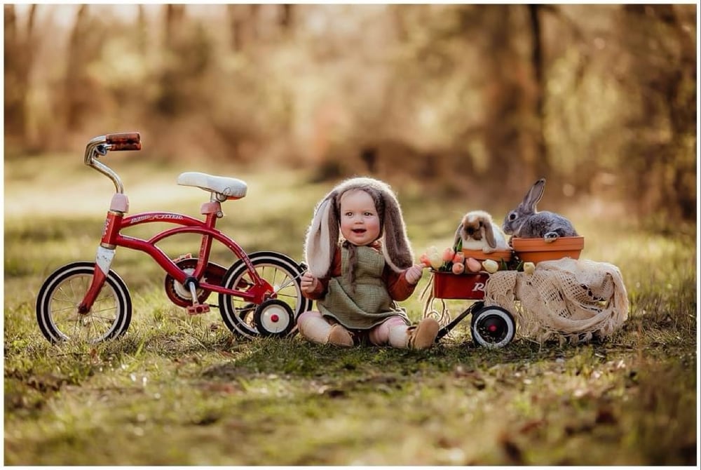 Image of Floral Truck and Bunny Minis 🛻🌷🌺🐰