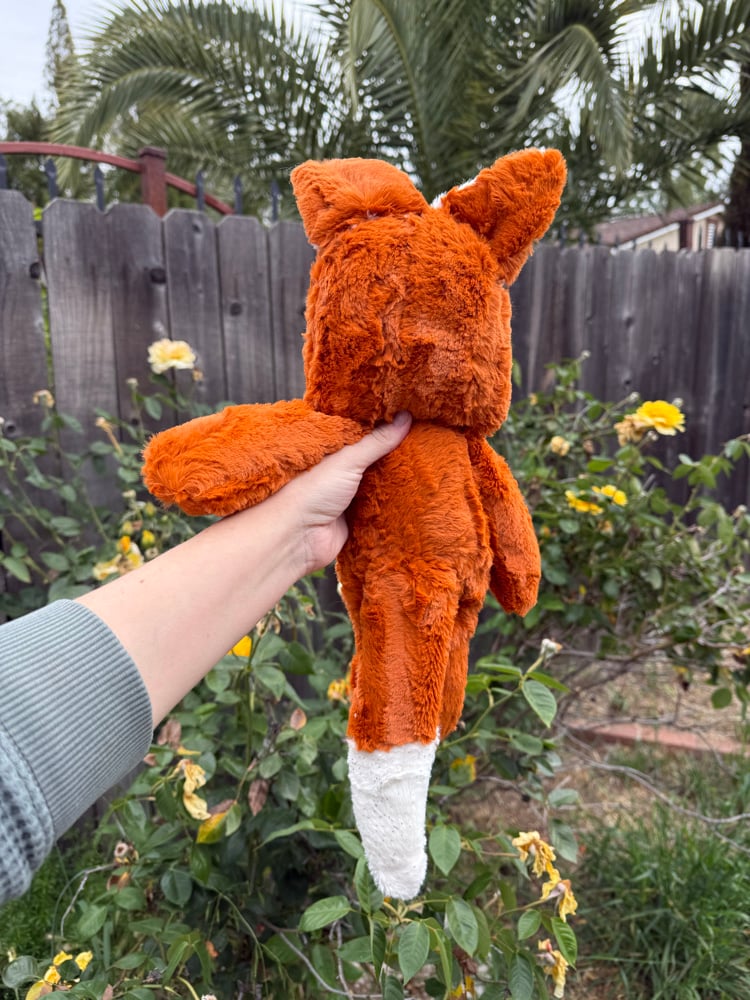 Image of Floppy fox with sparkle
