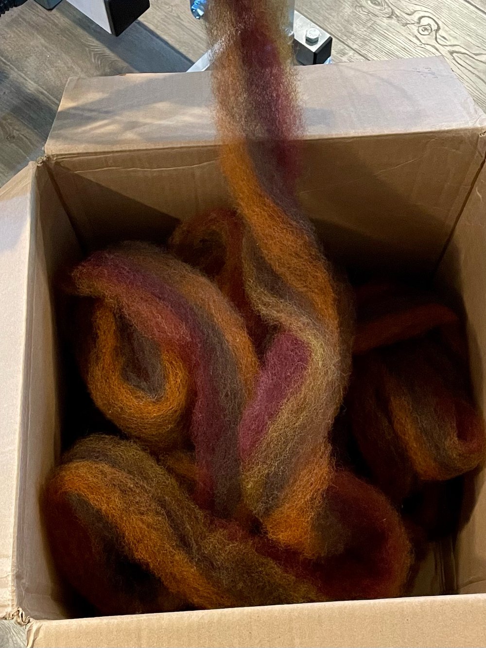 2.5 oz. • Pumpkin Spice roving: on Romney & Romney Hogget from Iron Water Ranch