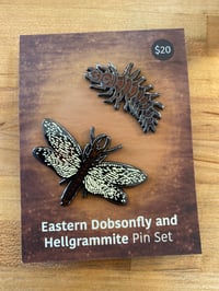 Eastern Dobsonfly and Hellgrammite