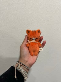 Mini Orange Kitten