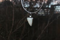 Image 2 of Unicorn Tooth