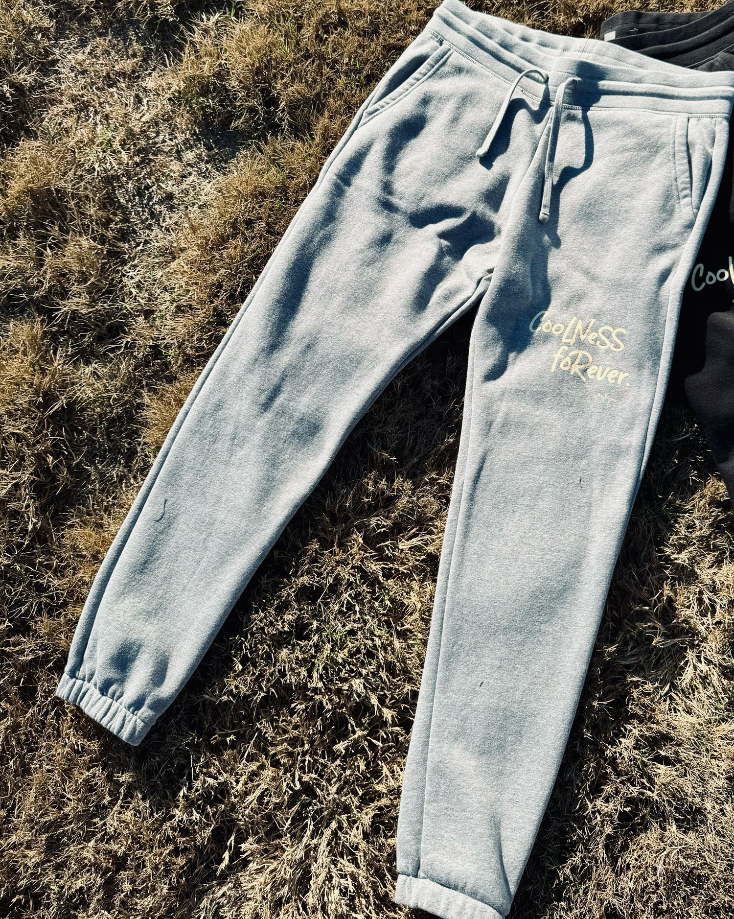 Image of Coolness Forever Fleece Sweatpant - Heather Gray