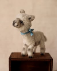 Image 3 of pipe cleaner Cloud the alpaca
