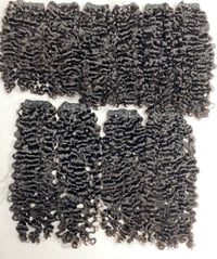 Burmese Curly 