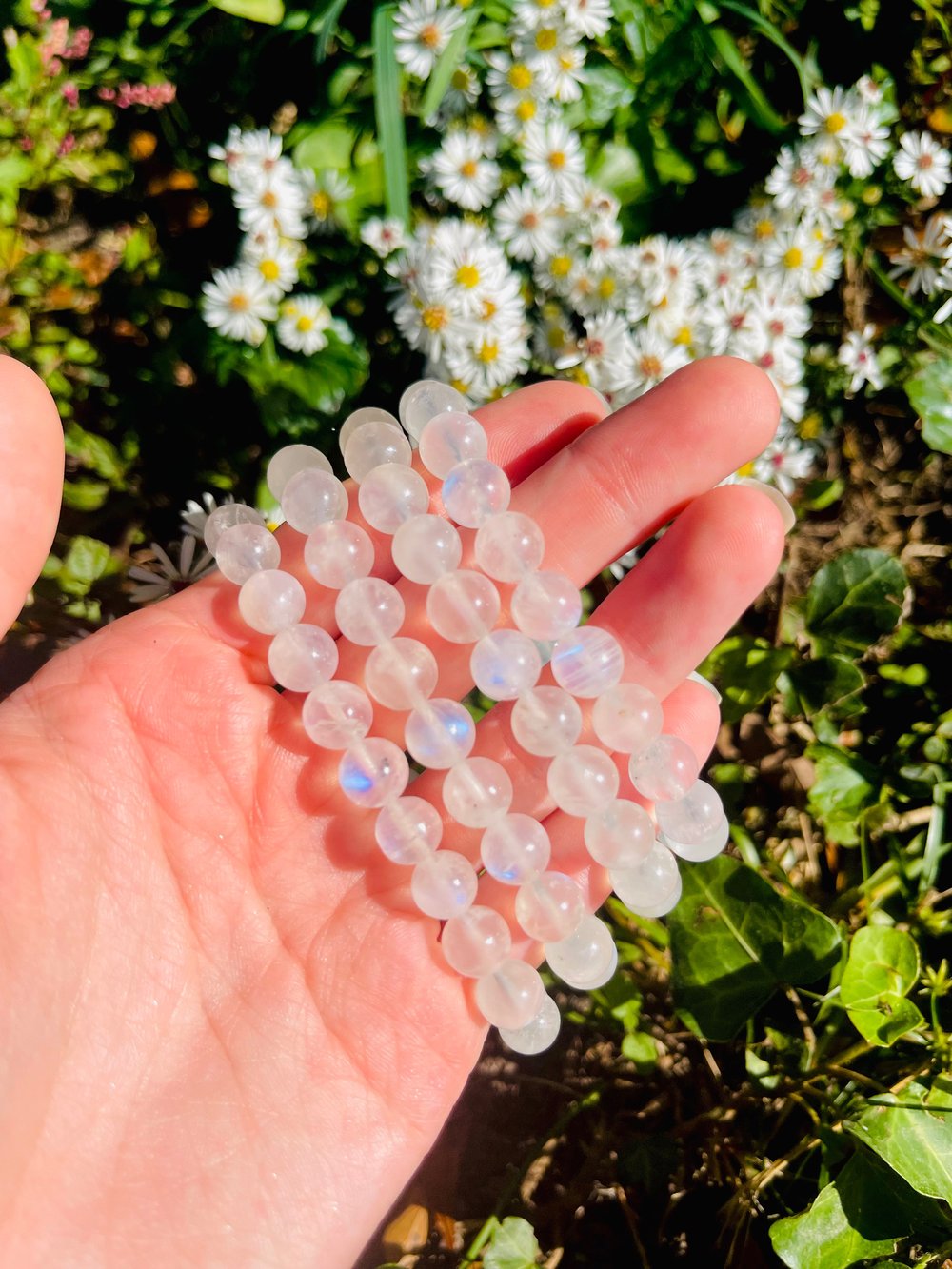 Image of Moonstone bracelet 