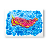 Glitter Foil Sea Slug Print