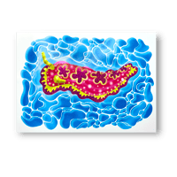 Image 1 of Glitter Foil Sea Slug Print