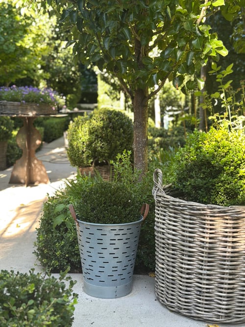 Image of Vintage Turkish Olive Bucket 