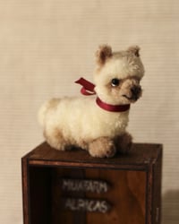 Image 2 of pipe cleaner Latte the alpaca