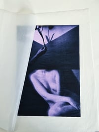 Image 2 of PORTRAIT WITH A TULIP 