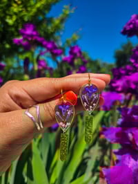Lobelia n brass 