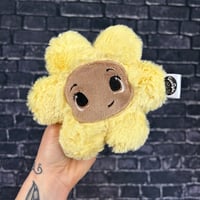 PEANUT- Petal