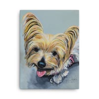 Image 2 of Silver Yorkie