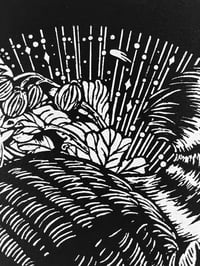 Image 2 of Raccoon & Gooseberries