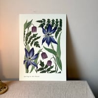 Image 1 of Spring in the Shade Art Print 