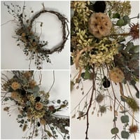 Image 1 of Diane Cadman: Contemporary Autumnal Wreath 