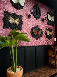 Image 3 of Moth gallery wall