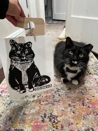 Image 2 of Domino