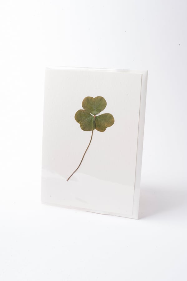 Image of Clover Card