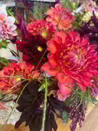 Image 4 of DAHLIA DAYS TICKETS