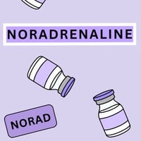 Emotional Support Socks - Noradrenaline 
