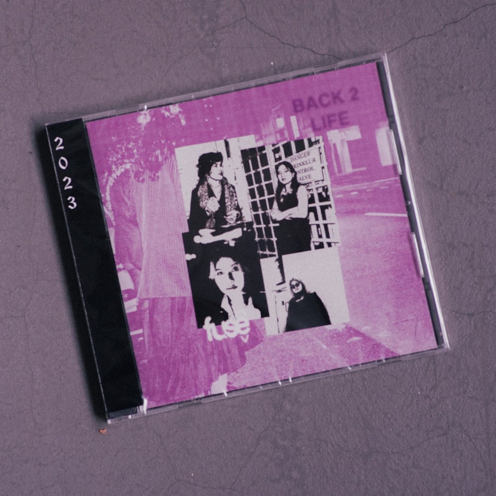 Image of BACK2LIFE CD Compilation