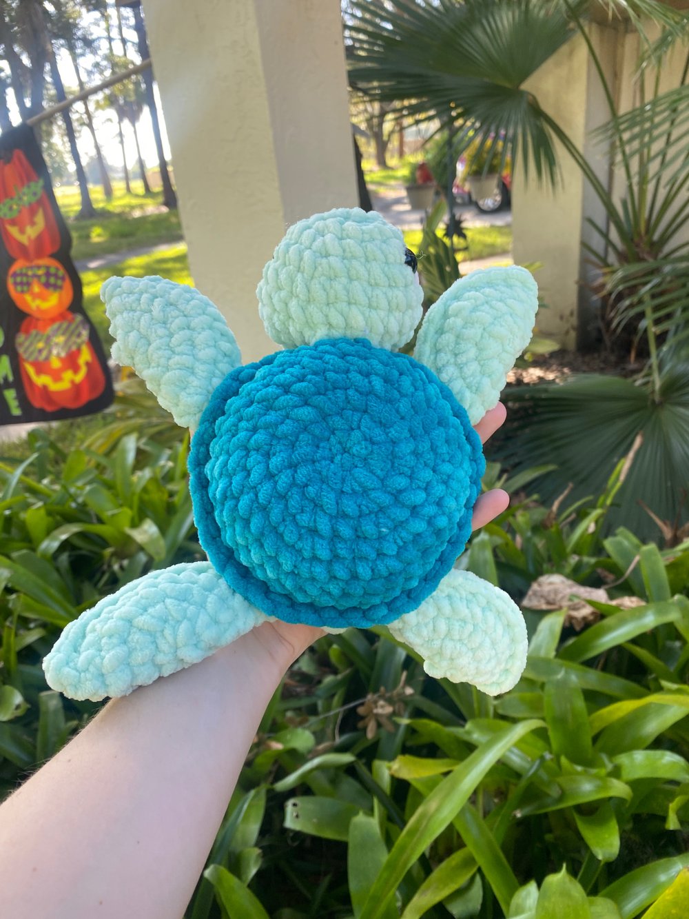 Image of Sea Turtle 