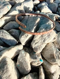 Image 3 of Wild Copper Roots