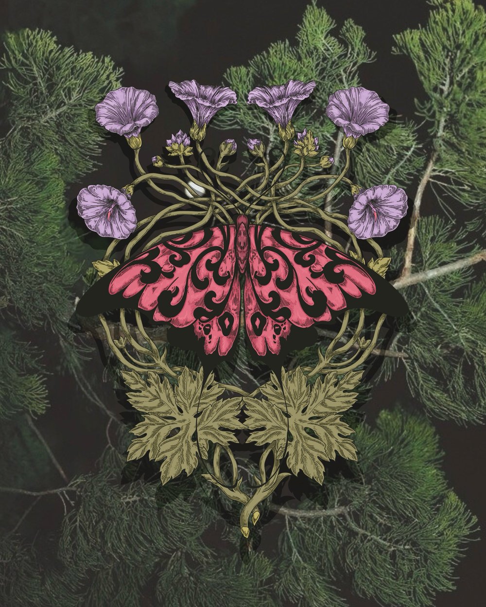 Image of Moth Talisman - Digital Painting