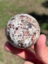 Image 1 of Money Agate Sphere #2834